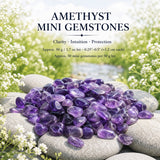 Crystal Sampler Bundle Nr. 5 - 70 % Rabatt Blitzangebot