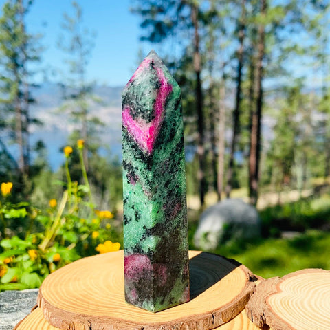 Ruby in Zoisite Point