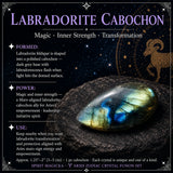 ♈ Κριός - 21 Μαρτίου - 19 Απριλίου - Zodiac Crystal Fusion Σετ με θήκη