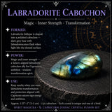 ♑ Capricórnio - 22 de dezembro a 19 de janeiro - Conjunto Zodiac Crystal Fusion com bolsa