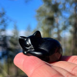 Spirit of Stillness – Obsidian & Agate Cat Totem Set