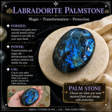 Labradorit palmsten