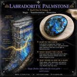 Labradorit palmsten