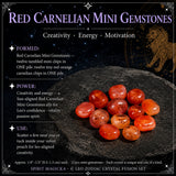 ♌ Ljón - 23. júlí - 21. ágúst - Zodiac Crystal Fusion sett með poka