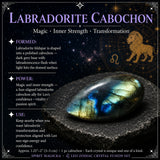 ♌ Ljón - 23. júlí - 21. ágúst - Zodiac Crystal Fusion sett með poka