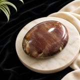 Palmstone de madeira petrificada