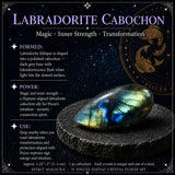 ♓ Fiskar - 19. febrúar - 20. mars - Zodiac Crystal Fusion Sett með poka