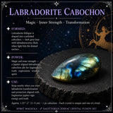 ♐ Sagittaire - 22 novembre - 21 décembre - Ensemble Zodiac Crystal Fusion avec pochette
