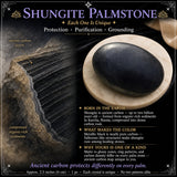 Shungite Palmstone