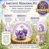 Crystal Amethyst Hedgehog Pet (ADOPTE ME PLEASE) 🥰