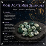 ♍ Meyja - 23. ágúst - 22. september - Zodiac Crystal Fusion sett með poka