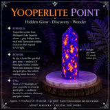 Grounding & Transformation Crystal Set